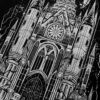 Gargoyle Cathedral Sweatshirt [METALLIC SILVER]
