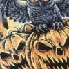 Halloween Owl Sweatshirt
