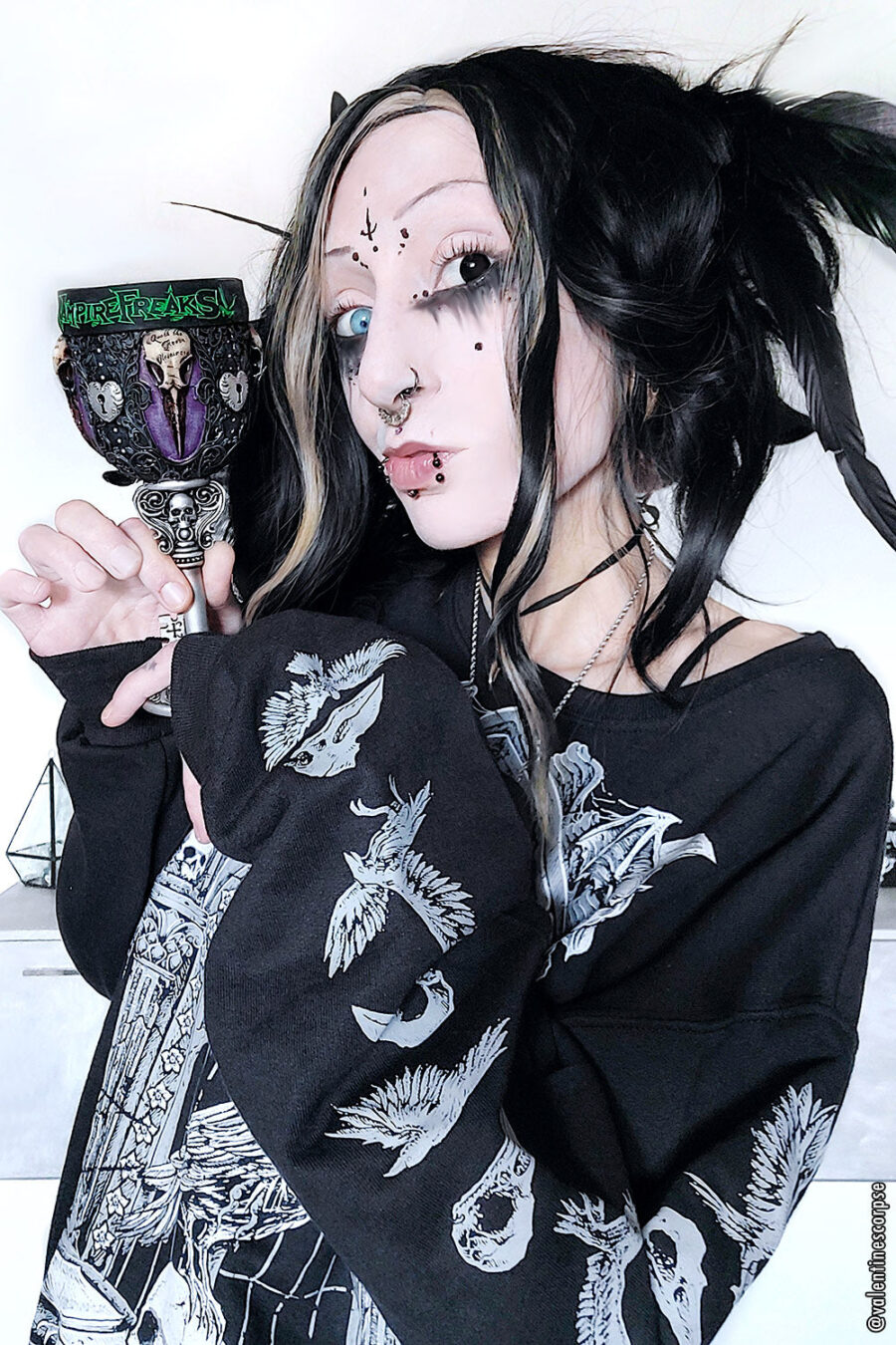 Quoth the Raven Sweatshirt [GRAY]