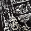 Cabinet of Curiosities Sweatshirt