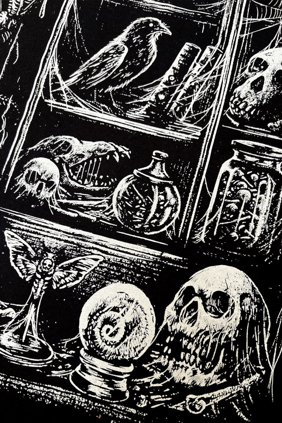 Cabinet of Curiosities T-shirt