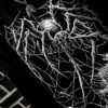 Death Spider Sweatshirt [Spiderweb Sleeves]