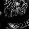 Death Spider Sweatshirt [Spiderweb Sleeves]